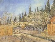Vincent Van Gogh Orchard in Blossom,Bordered by Cypresses (nn04) Spain oil painting artist